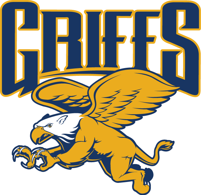 Canisius Golden Griffins 2006-Pres Alternate Logo v2 iron on transfers for clothing`